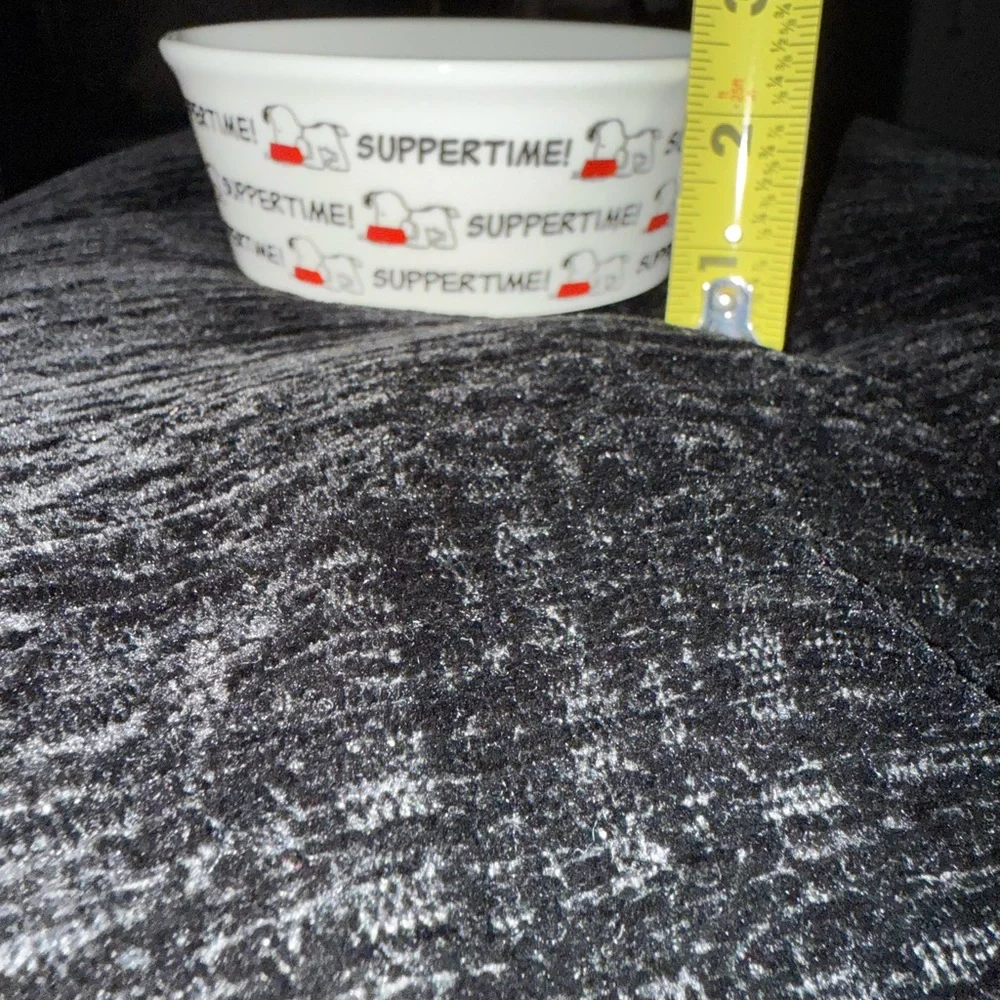 Peanuts Suppertime White and Red Bowl